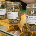 kush